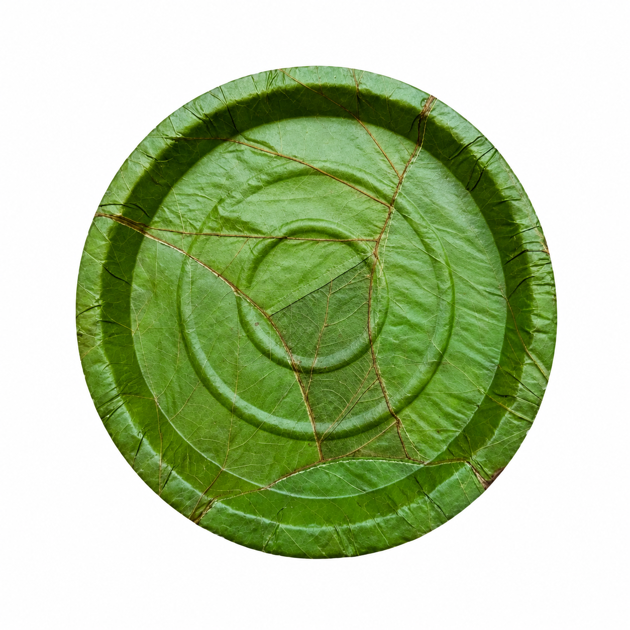 Disposable Paper Biodegradable Plate