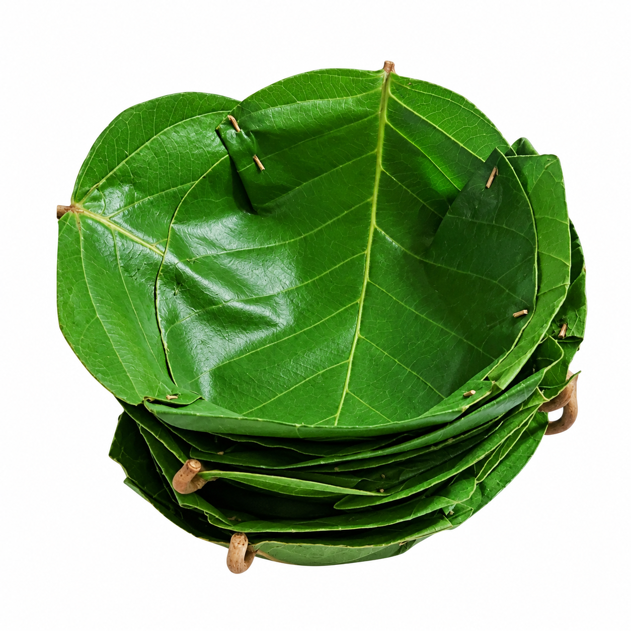 Palm Leaf Plate Eco Friendly Disposable Dinnerware Plates